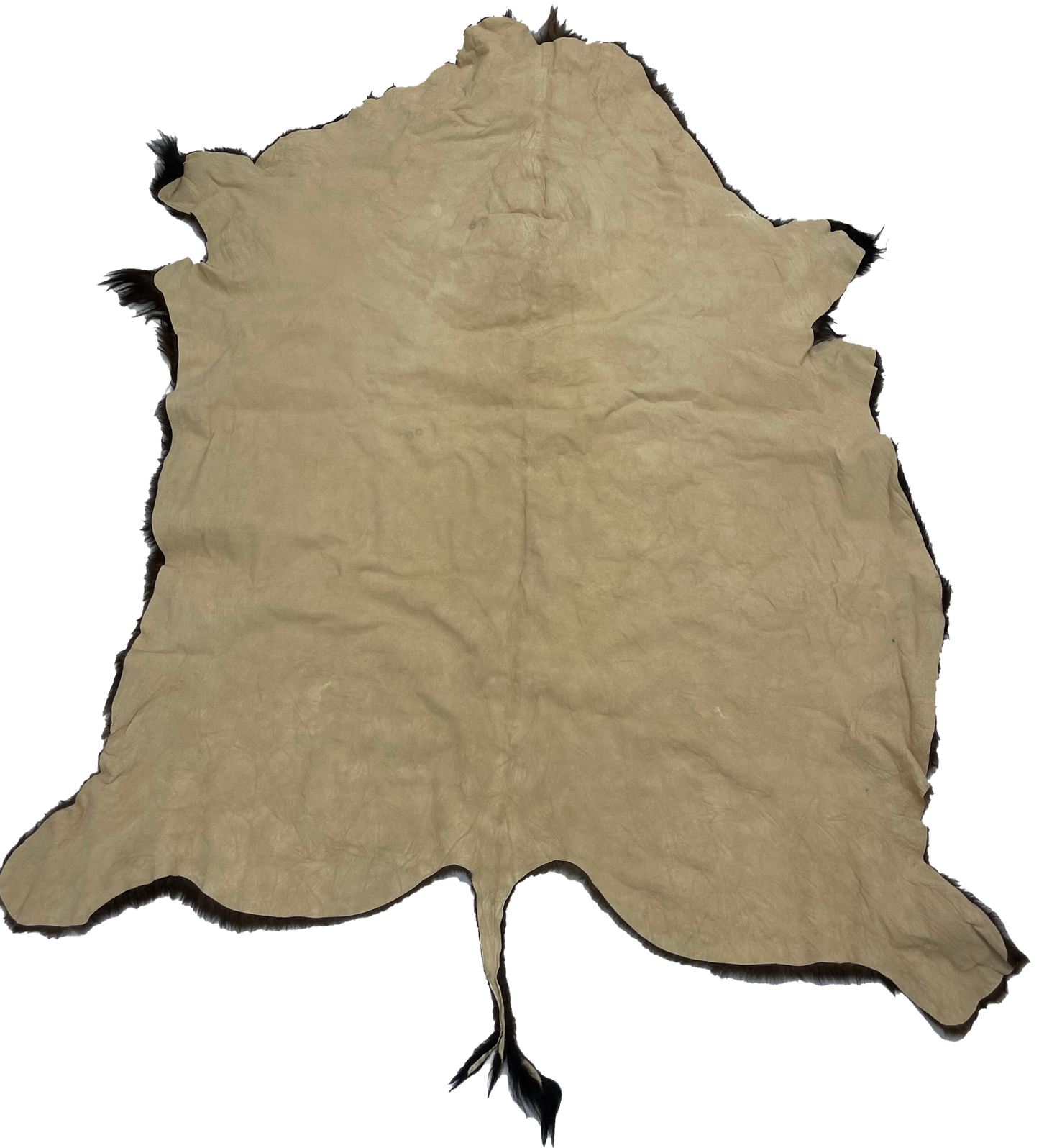 American Bison Rug