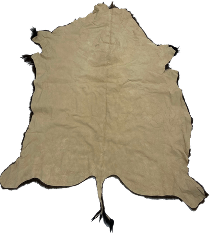 American Bison Rug