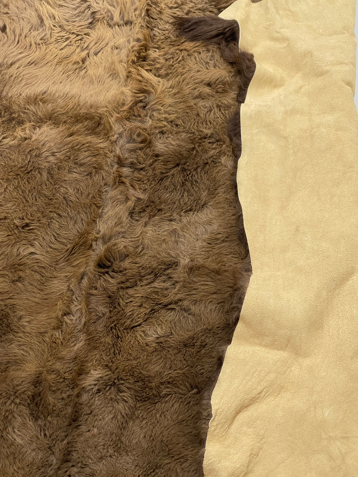 American Bison Rug